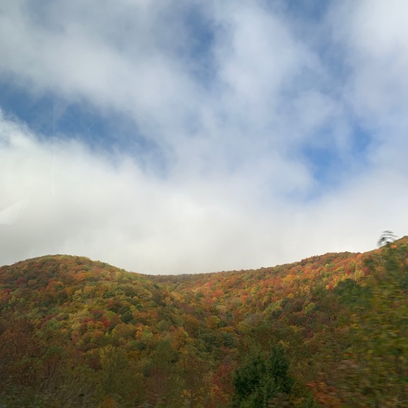 Meet your Posher, John - Picture 1 of 1